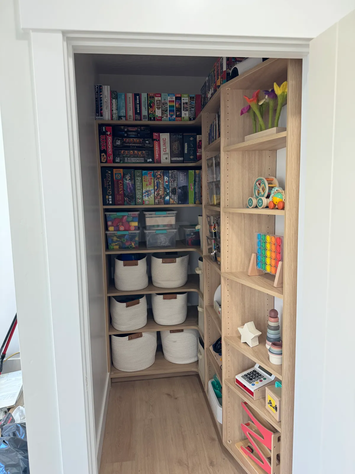 Closet project